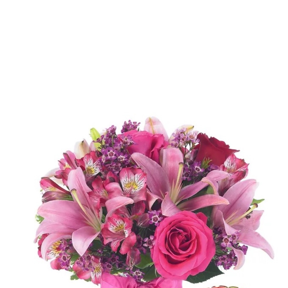 Meet your Posher, Shagufta